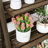 Armisha Ladder Bookcase