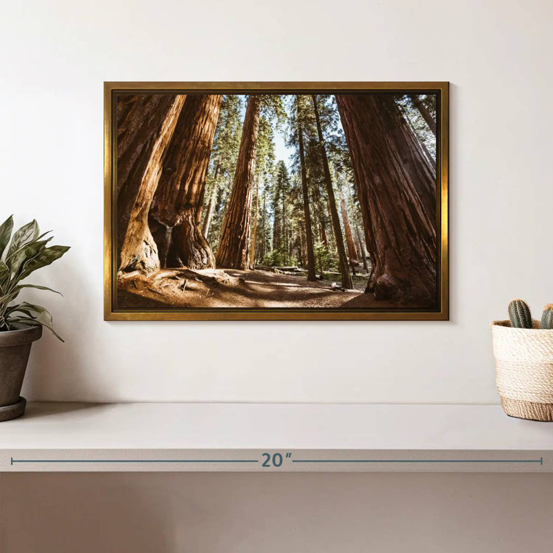 Été dans le parc Sequoia, Cadre flottant doré, 13 po x 9 po