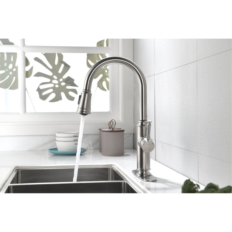 Robinet de cuisine à douchette extractible, nickel brossé avec éclaboussure, lavabo à levier simple et deux sorties d'eau