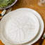 Burlington Sand Dollar Side Plate, Cloud