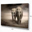 Paire d'éléphants, mouvement - impression-35105254-35105263