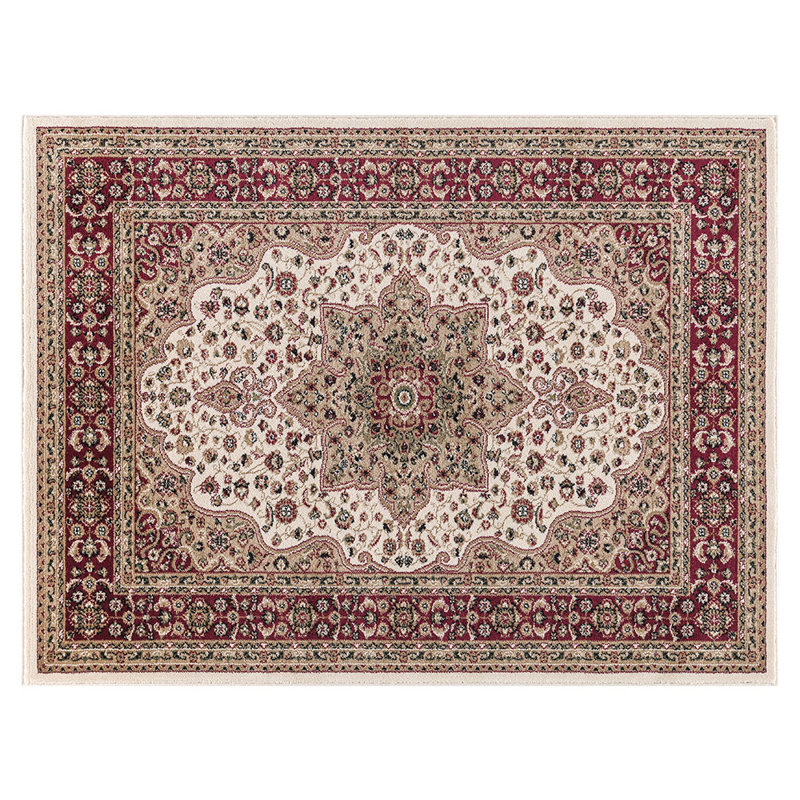 Mcnulty Oriental Area Rug, Rectangle 160 x 230cm