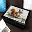 Breakfast Tray