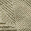 Premium Machine Washable Cerrito Khaki Rug-105694766