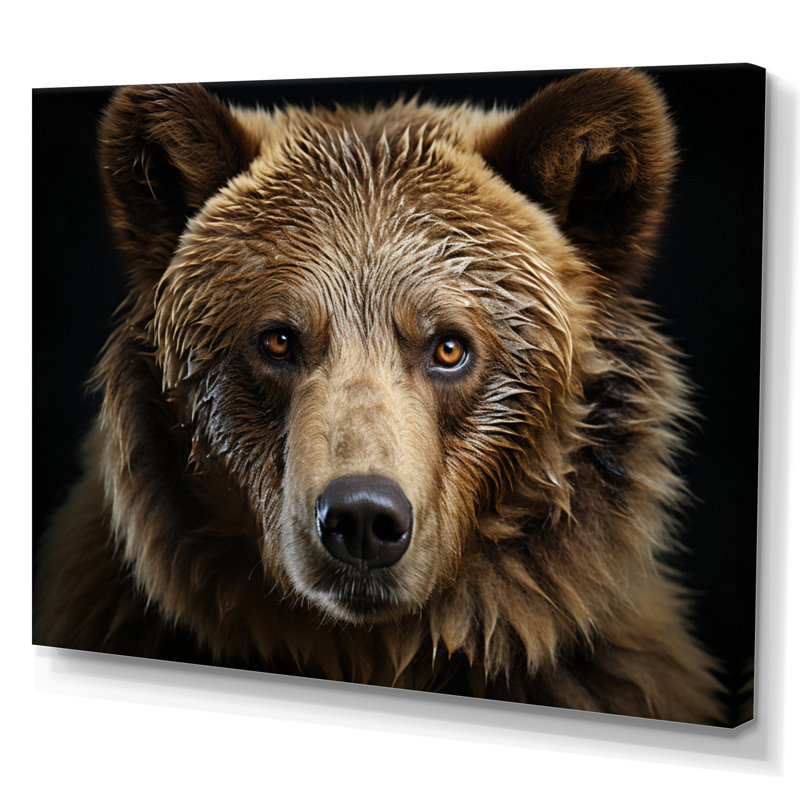 Bear Portrait - Animals Canvas Art Print, No Frame, 34" H x 44" W, Wrapped Canvas