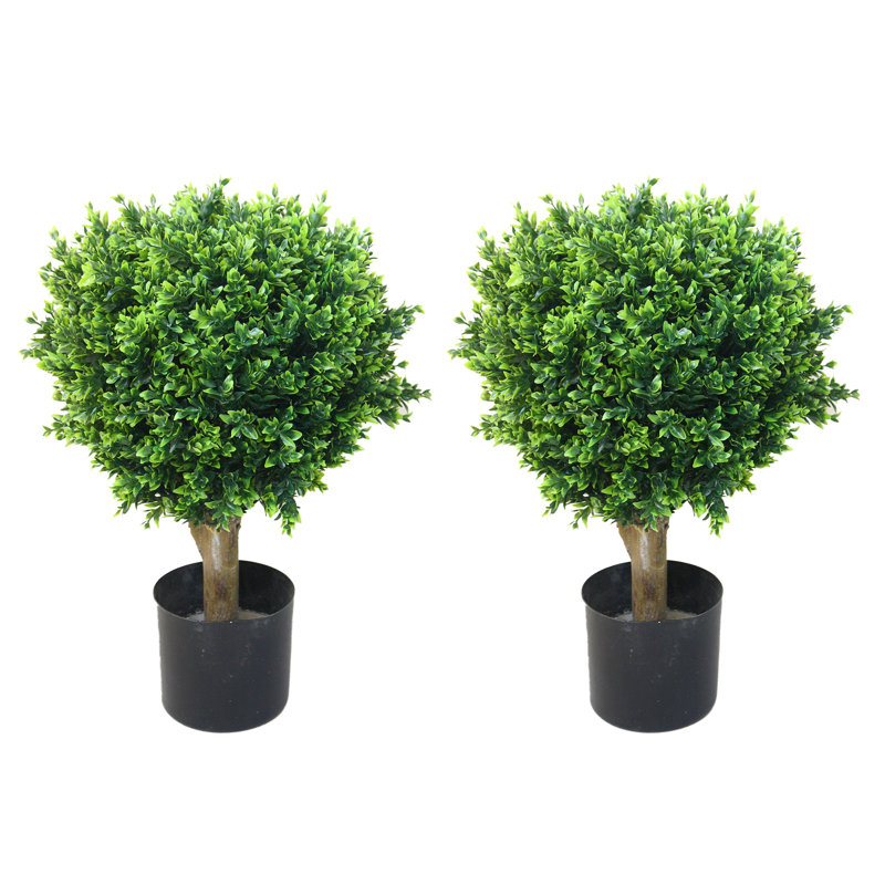 60.96cm Faux Boxwood Topiary in Pot