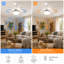 Alisha-Ann 75cm Ceiling Fan with Light Kit-874699850