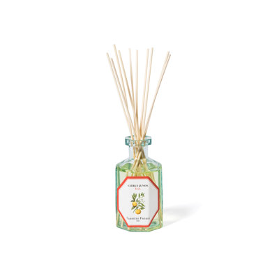 Fruits Diffuser
