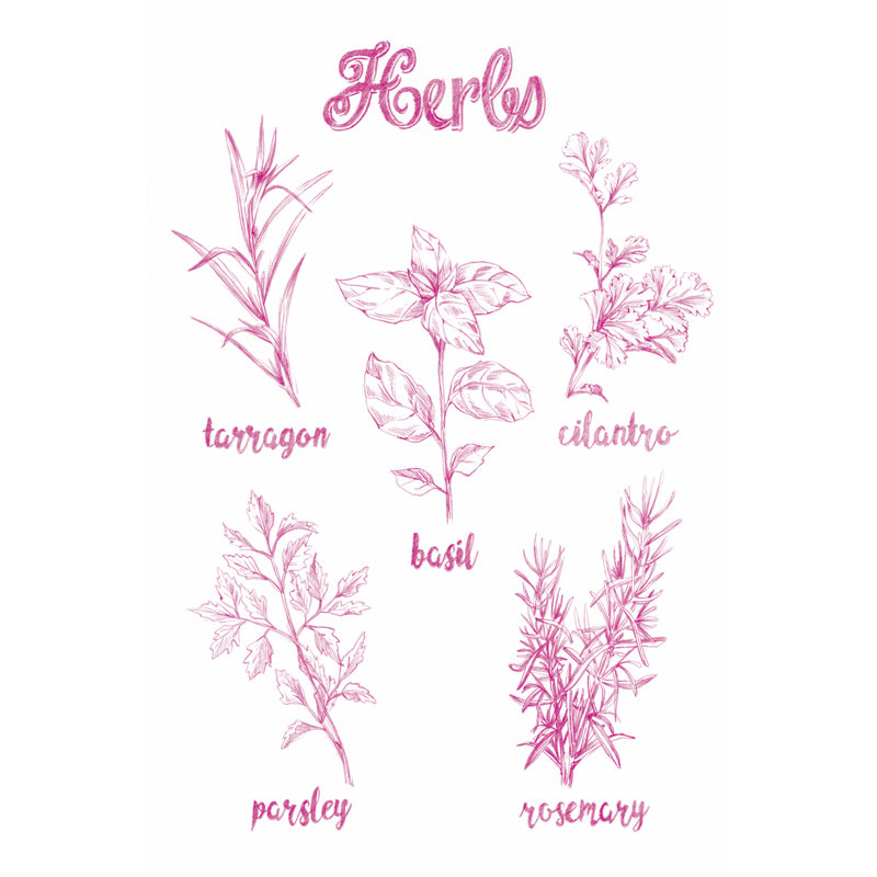 Herb Varieties by Ethan Harper - Drawing, Wrapped Canvas, 46 cm H x 30 cm W