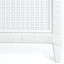 Naples Low Profile Standard Bed-1077635687-1077635710