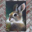 D.FINNEY Traditional Wall Decor