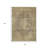 3' X 5' Brown And Beige Medallion Washable Indoor Outdoor Area Rug