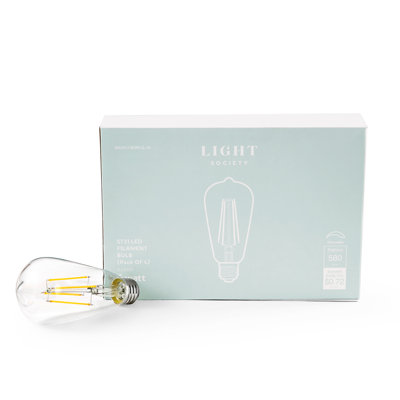 6 watts (équivalent à 60 watts), DEL ST21, ampoule à intensité variable, culot E26 / moyen (standard)