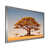 Silver Picture Framed