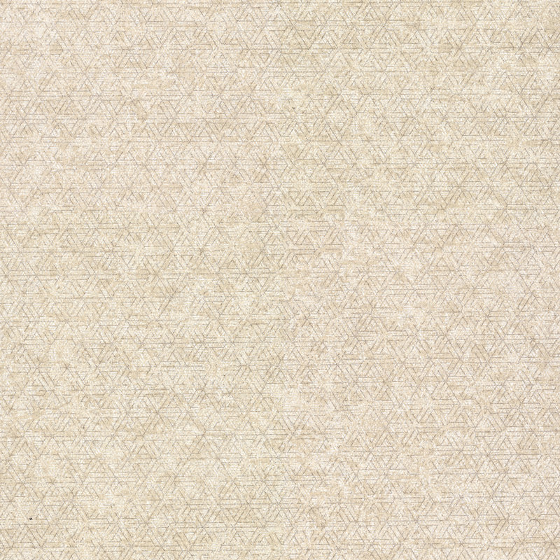 Rouleau de papier peint L 33 pi x l 21 po Cosmic, Champagne
