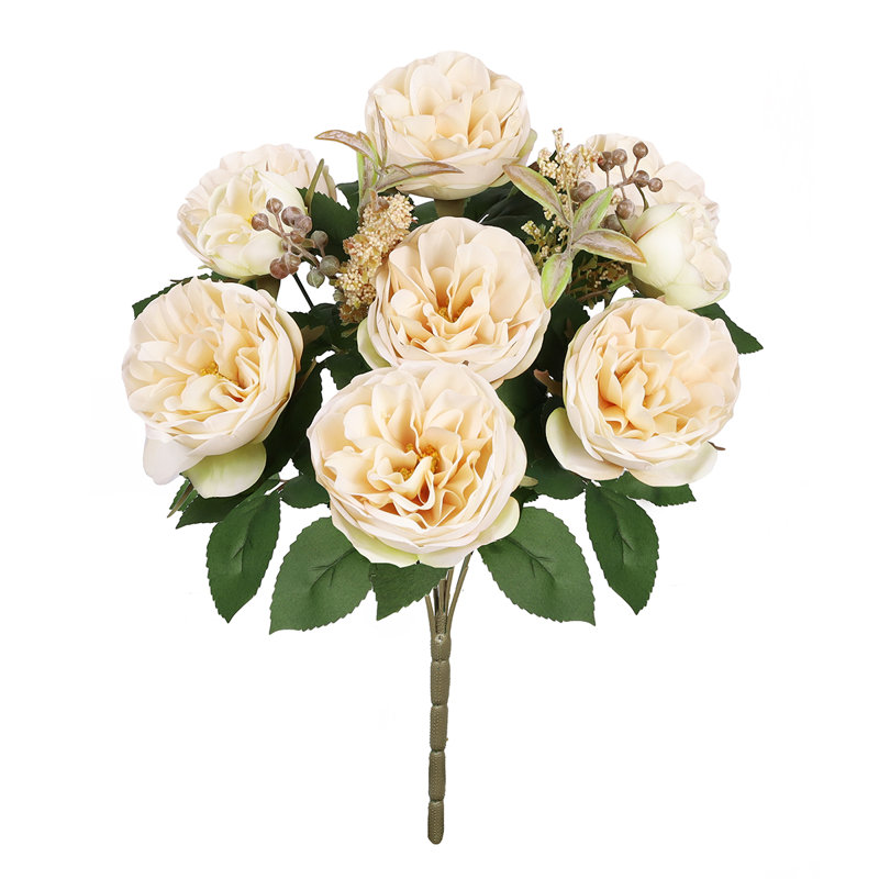 Chou rose, Ivoire