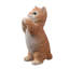 Chat tigré orange priant-116323235