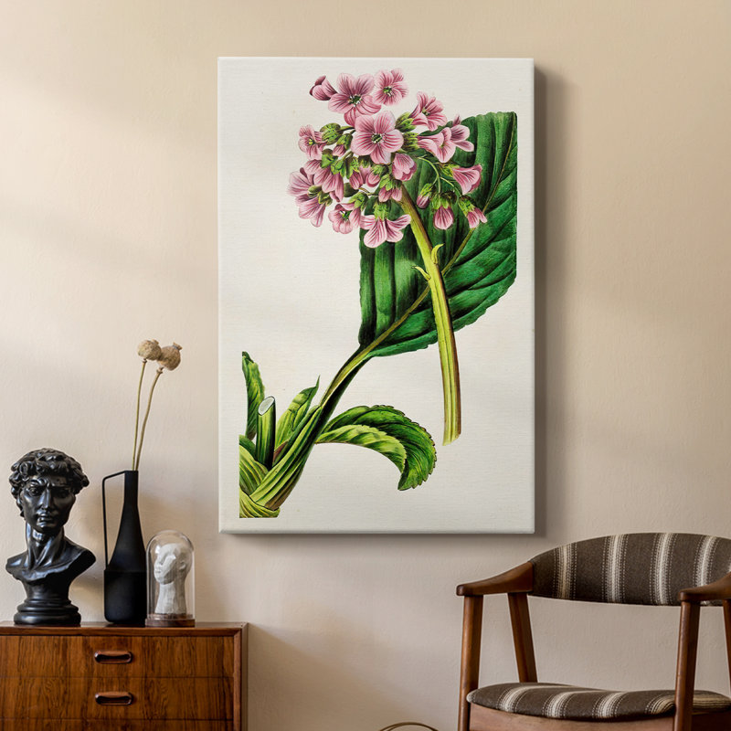 AntiqueFloralFolio III - Gallery Cavas sur mesure, H 60 po x l 40 po