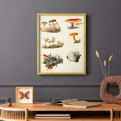 Mushroom Species X Framed Print - Solid Wood
