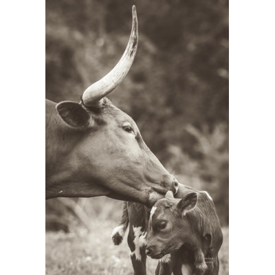 Longhorn Pair Sepia by Nathan Larson