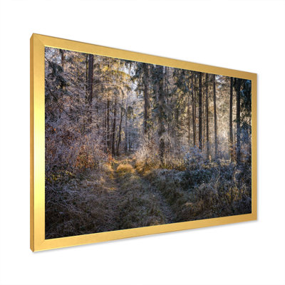 «Forest Trees In Winter», reproduction d'art sur toile