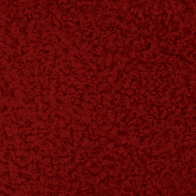 Sherpa Teddy | Kova Fabric