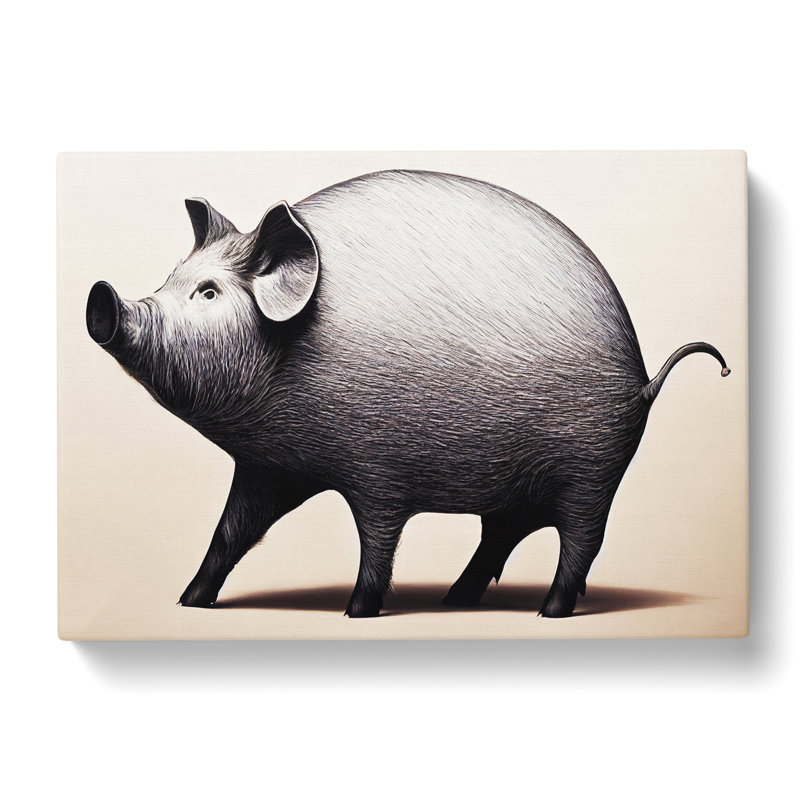 Pig Illustration - Wrapped Canvas Print, 35cm H x 50cm W