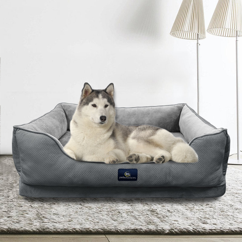 Lit pour chien Serta Ortho Cuddler, Gris anthracite, H 10 po x l 46 po x P 34 po