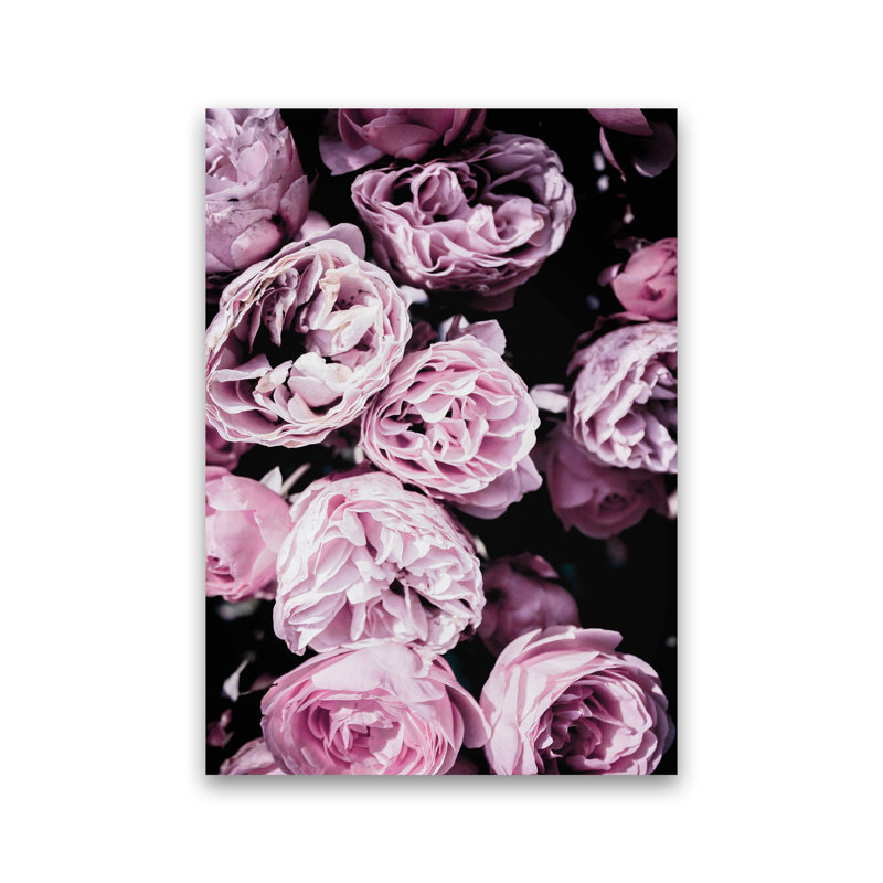 Pink Flowers II by Victoria Frost - Print, 42cm H x 30cm W x 1cm D, Unframed