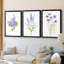 Lilas botanique délicat - Toile tendue avec châssis sur mesure - 3 pièces-586381239-586381237