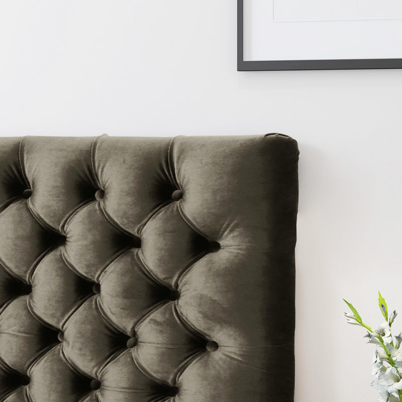 Tête de lit en velours gris à boutons, rehaussant la sophistication de la chambre à coucher et le style contemporain facile à assembler pour un grand lit