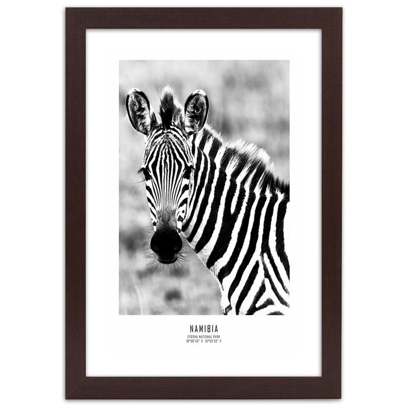 Zebra Animals Nature - Single Picture Frame Print, 90cm H x 60cm W, Brown
