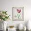 Flower, Seashell and Insect VI Framed
