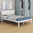 Shauna Bed-699055336-699055339