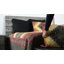 Courtepointe simple Donna Sharp Spice-630558276