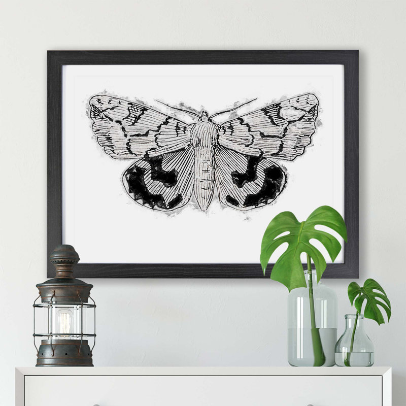 Underwing Moth - Framed Print, 24cm H x 33cm W x 2cm D, Black