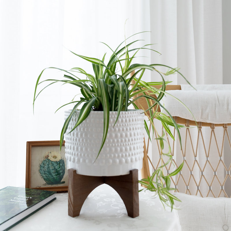 Tierney Ceramic Pot Planter, 9.6" H x 8" W x 8" D