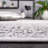 Derlin Performance Geometric Rug-1089774035
