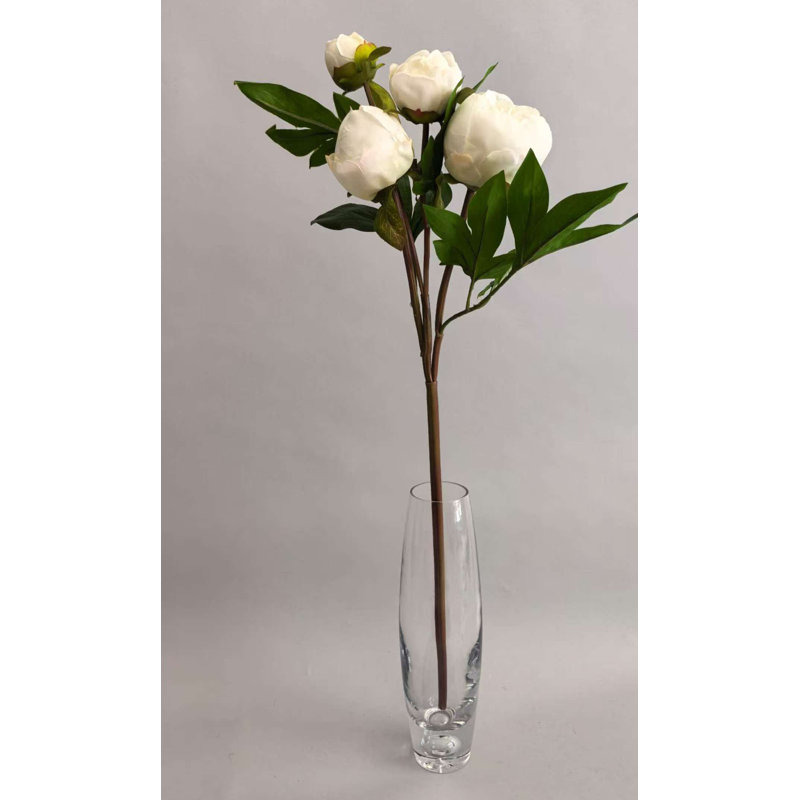SPRAY FRAÎCHEUR TOUCHER NAT.TOUCH PIVOINE 25'', White