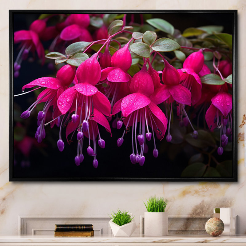 Fuchsia vivace, fleurs II, art mural floral, salon, Cadre flottant noir, H 16 po x l 32 po x P 1 po