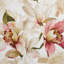 Ahlexis Blackout Curtains Single Panel