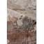Koda Abstract Area Rug-25181238