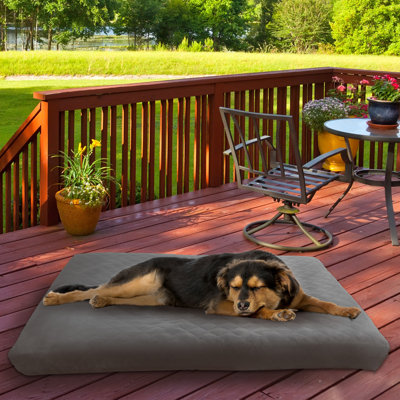 Lit pour chien