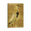 Gold Crane At Dusk I - Floater Frame Print on Canvas-1572203976-1545041874