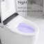 Toilette de bidet de luxe avec ouverture / fermeture automatique, eau chaude, télécommande - option de mise à niveau de la salle de bain, température du siège réglable, affichage à DEL