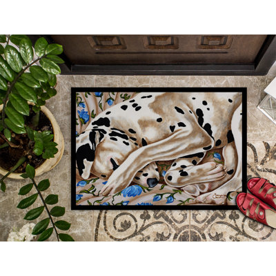 Non-Slip Outdoor Doormat
