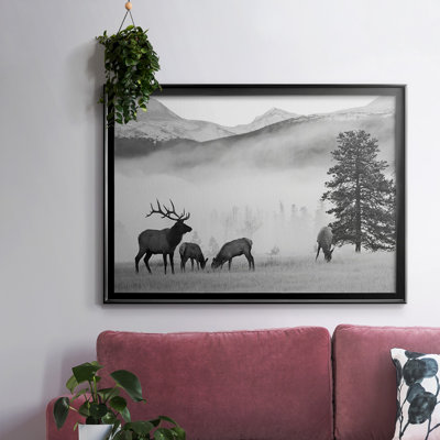 " Mountain Elk "
