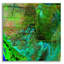 «Earth as Art: Everglades», art mural en verre acrylique-1984747602