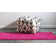 Nadene Washable Oriental Indoor Rug