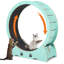 Roue d'exercice pour chat, grande roue de course pour chat de 37 po avec conception verrouillable, tapis roulant pour chat multicouche en contreplaqué avec chenille, pour chats d'intérieur 17 à 25 lb-591259359